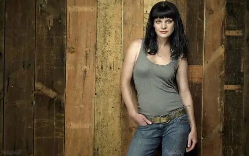 Pauley Perrette Wall Poster picture 305901