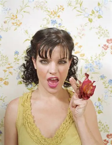 Pauley Perrette Wall Poster picture 378222