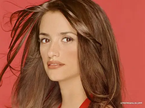 Penelope Cruz Wall Poster picture 17087