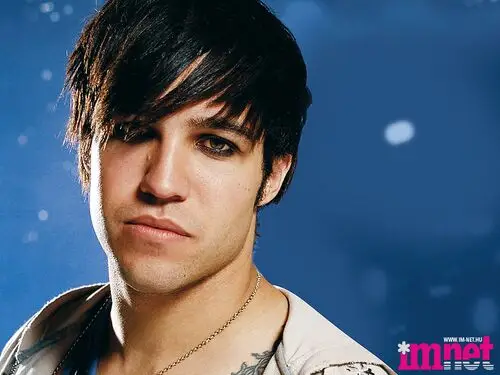 Pete Wentz Wall Poster picture 102581