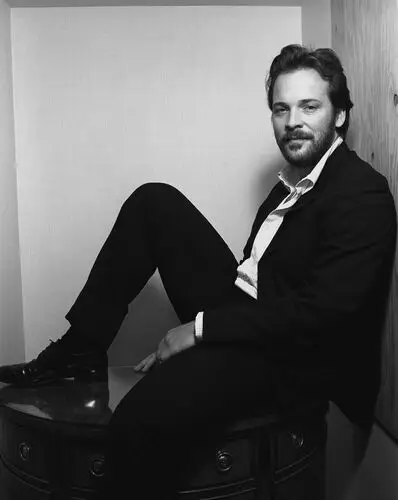 Peter Sarsgaard Wall Poster picture 487896