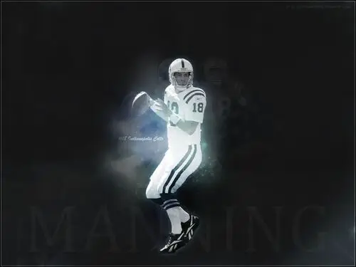 Peyton Manning Wall Poster picture 118690