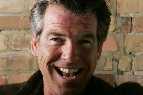 Pierce Brosnan Wall Poster picture 495318