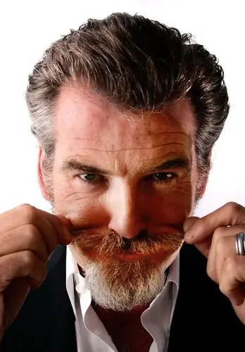 Pierce Brosnan Wall Poster picture 496528