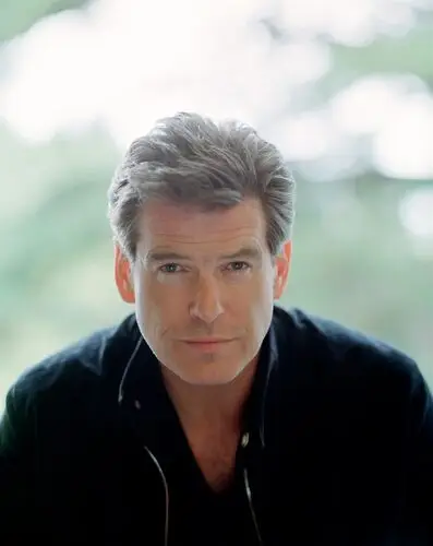Pierce Brosnan Wall Poster picture 66488