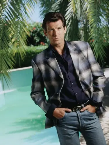 Pierce Brosnan Wall Poster picture 794568
