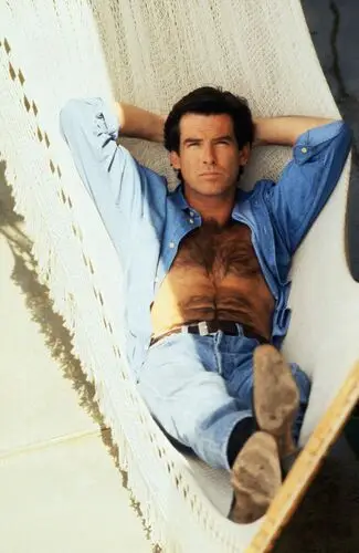 Pierce Brosnan Wall Poster picture 794661