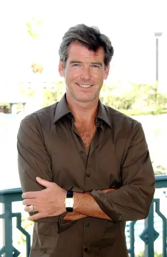 Pierce Brosnan Wall Poster picture 794671
