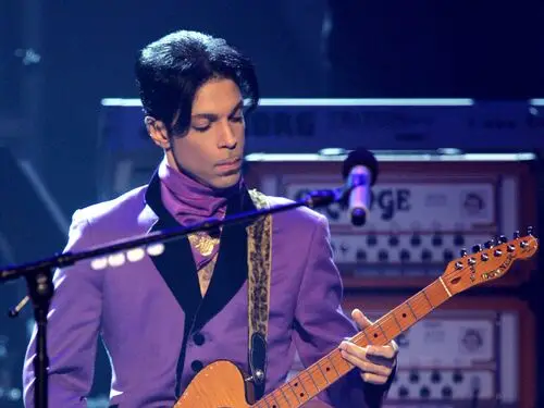 Prince Jigsaw Puzzle picture 499048