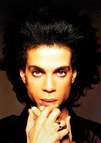 Prince Jigsaw Puzzle picture 499051