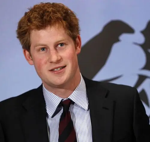 Prince Harry Wall Poster picture 110281