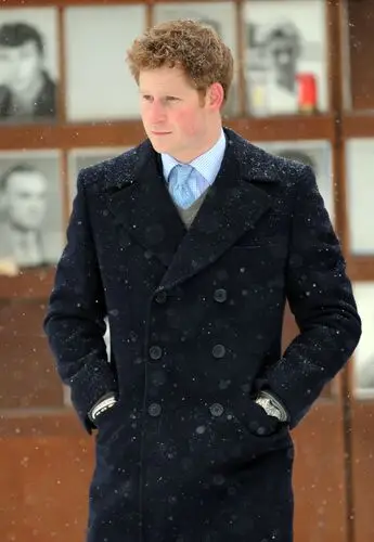 Prince Harry Wall Poster picture 110287