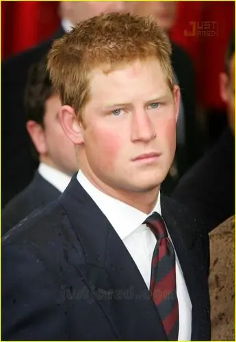 Prince Harry Jigsaw Puzzle picture 89759