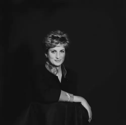 Princess Diana Fridge Magnet picture 478592