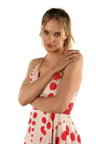 Rachel Blanchard Wall Poster picture 378572
