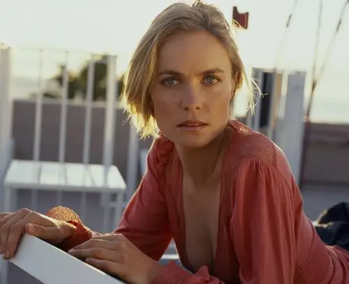 Radha Mitchell Wall Poster picture 238715
