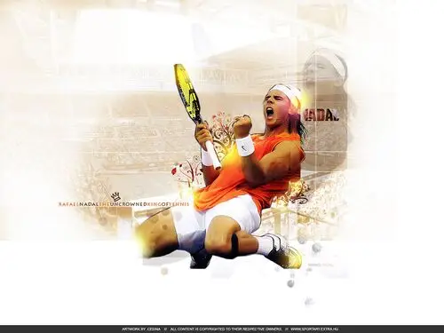 Rafael Nadal Wall Poster picture 162670
