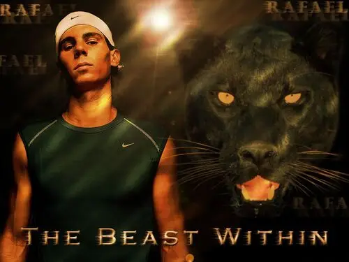 Rafael Nadal Wall Poster picture 87105