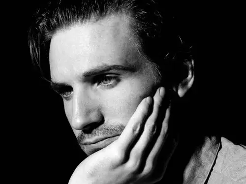 Ralph Fiennes Wall Poster picture 487924