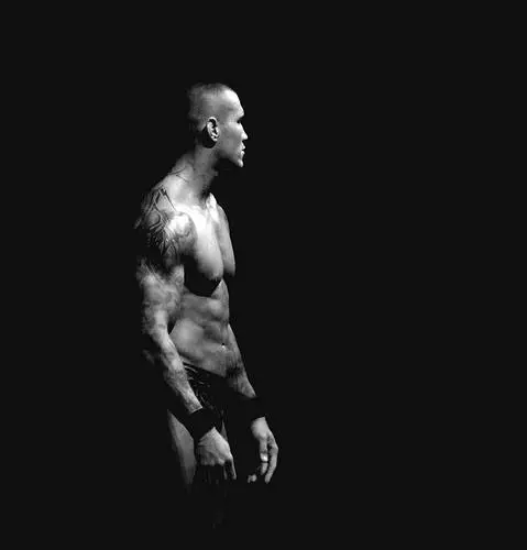 Randy Orton Jigsaw Puzzle picture 102666