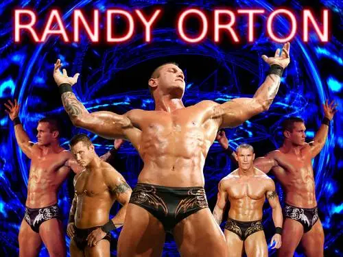 Randy Orton White T-Shirt - idPoster.com