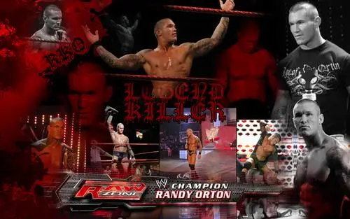 Randy Orton Kitchen Apron - idPoster.com