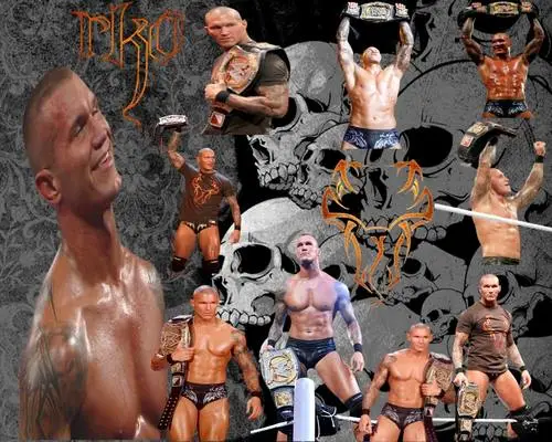 Randy Orton Jigsaw Puzzle picture 102680