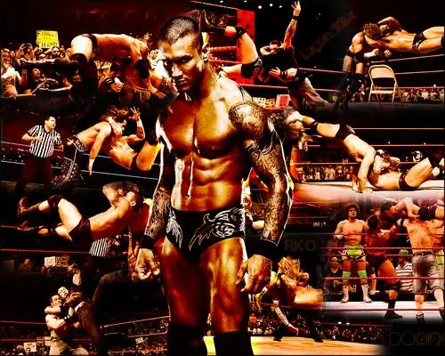 Randy Orton Wall Poster picture 102681