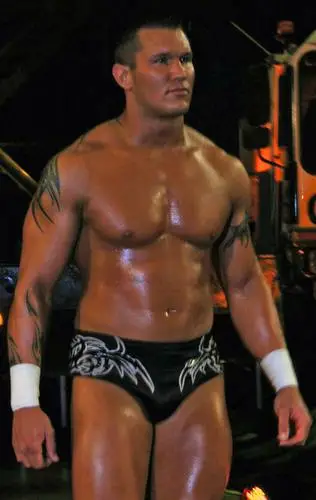 Randy Orton Wall Poster picture 77460