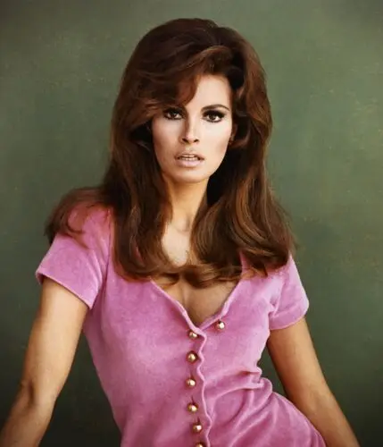Raquel Welch Wall Poster picture 503536