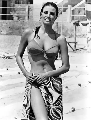 Raquel Welch Wall Poster picture 503540