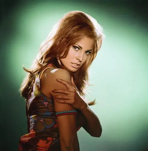 Raquel Welch Wall Poster picture 503547
