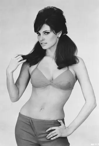 Raquel Welch Jigsaw Puzzle picture 66547