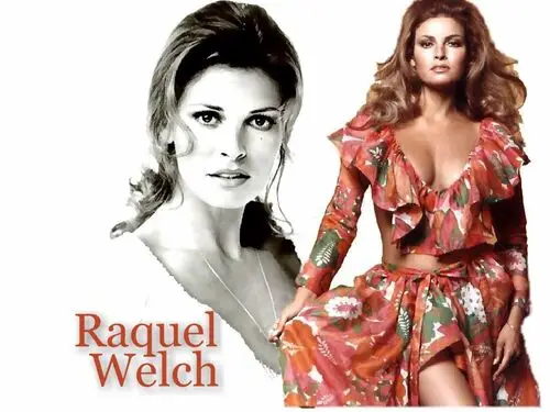 Raquel Welch Computer MousePad picture 79825