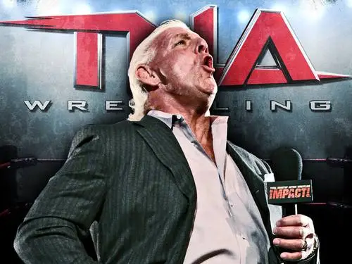 Ric Flair Computer MousePad picture 102705