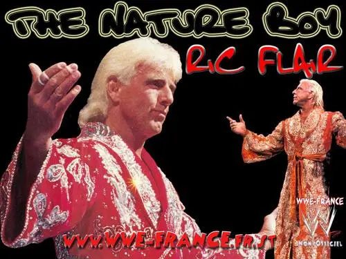 Ric Flair Wall Poster picture 102710