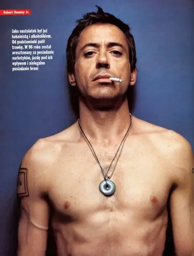 Robert Downey Jr Wall Poster picture 84537
