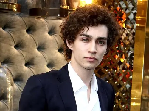Robert Sheehan Wall Poster picture 87605