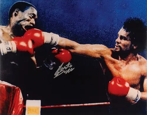 Roberto Duran Jigsaw Puzzle picture 239702