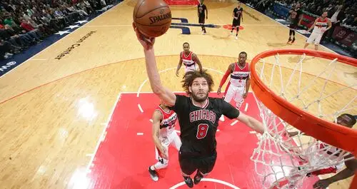 Robin Lopez Image Jpg picture 716648