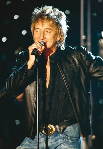 Rod Stewart Jigsaw Puzzle picture 17846