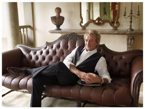 Rod Stewart Jigsaw Puzzle picture 527424