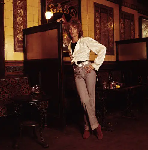 Rod Stewart Jigsaw Puzzle picture 527427