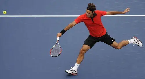 Roger Federer Fridge Magnet picture 162995