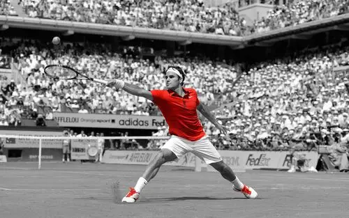 Roger Federer Fridge Magnet picture 163085