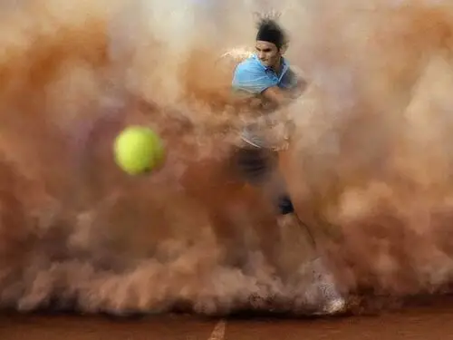 Roger Federer Fridge Magnet picture 163095