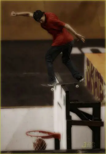 Ryan Sheckler Wall Poster picture 151057