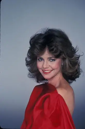 Sally Field Wall Poster picture 176206