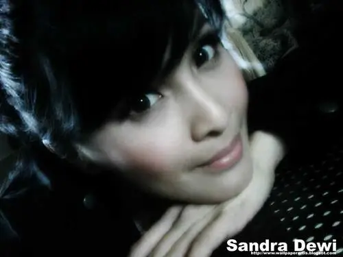 Sandra Dewi Fridge Magnet picture 118757