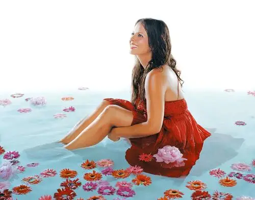 Sara Evans Wall Poster picture 516427